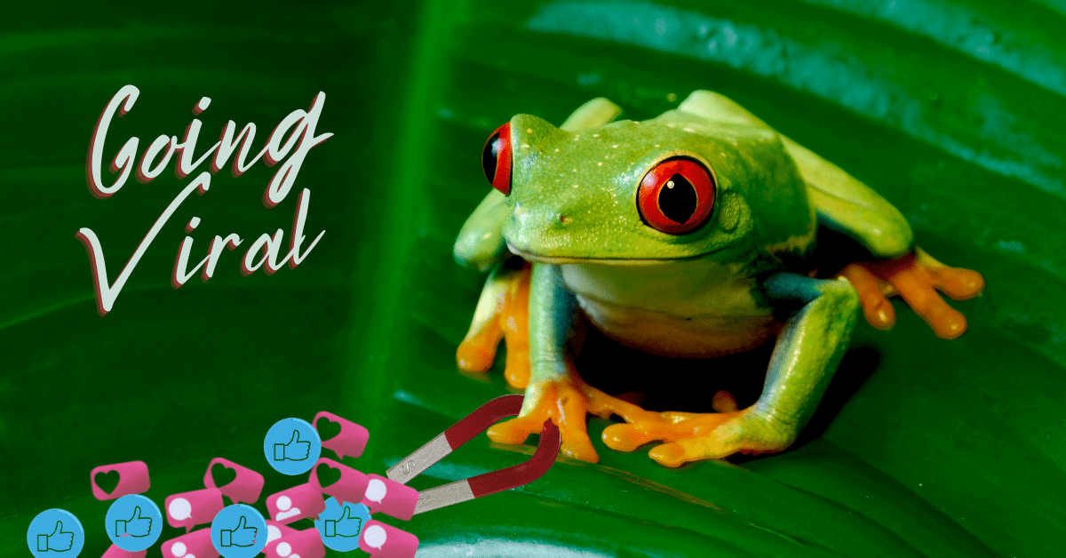 Going Viral Mind Your Own Business