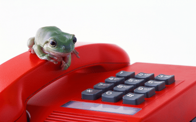 Talk to Human!