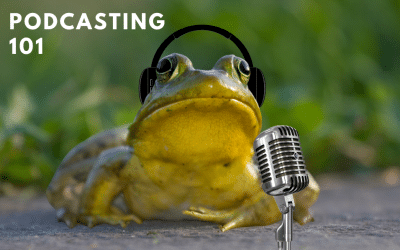Podcasting 101