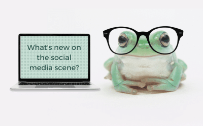 What’s New on the Social Media Scene?