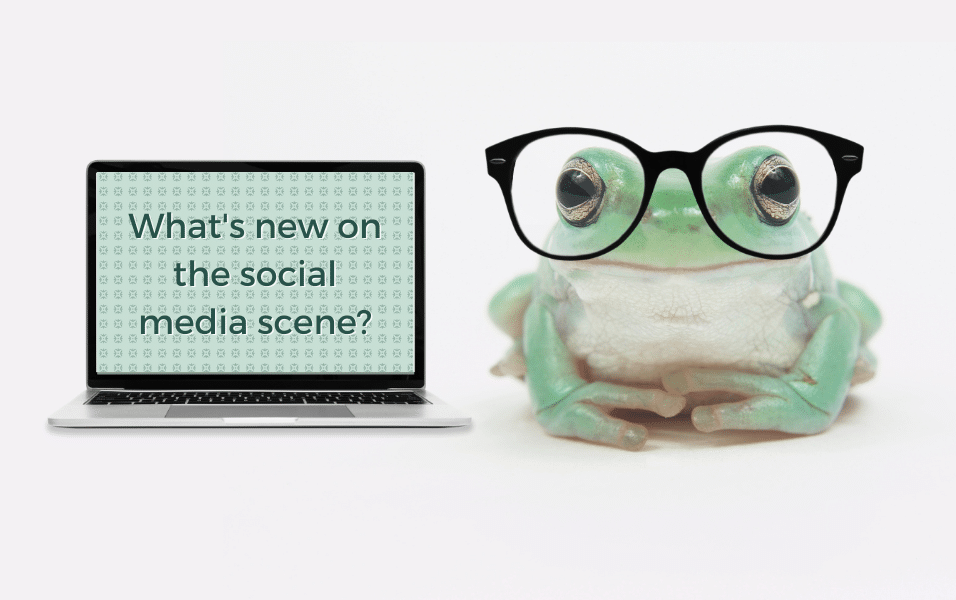 What’s New on the Social Media Scene?