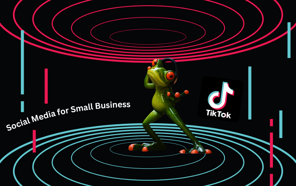 Social Media for Business: TikTok
